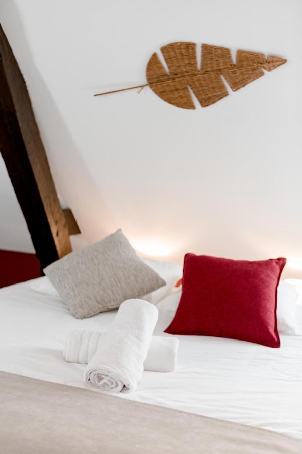 Au Bourg Neuf Apartment Orleans Ngoại thất bức ảnh